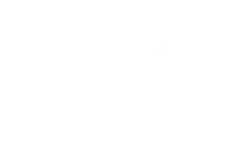 The Pulse